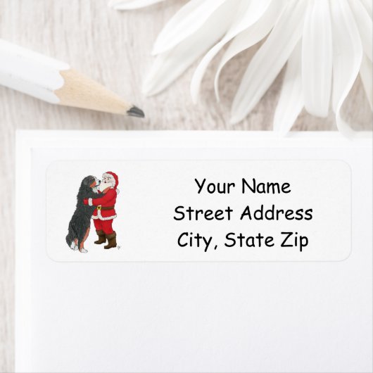 Bernese Mountain Dog Gruß Santa (Insitu)