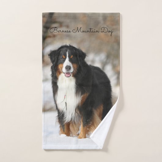 Bernese Mountain Dog Handtuch (Handtuch)