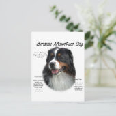 Bernese Mountain Dog History; alles über Berners Postkarte (Stehend Vorderseite)