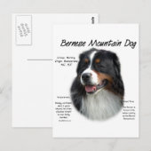 Bernese Mountain Dog History; alles über Berners Postkarte (Vorne/Hinten)