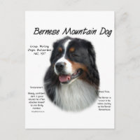 Bernese Mountain Dog History; alles über Berners
