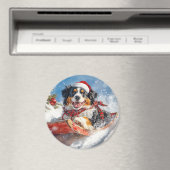 Bernese Mountain Dog in Sledge Weihnachten Magnet (In Situ (Geschirrspüler))