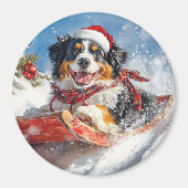 Bernese Mountain Dog in Sledge Weihnachten Magnet (Vorne)