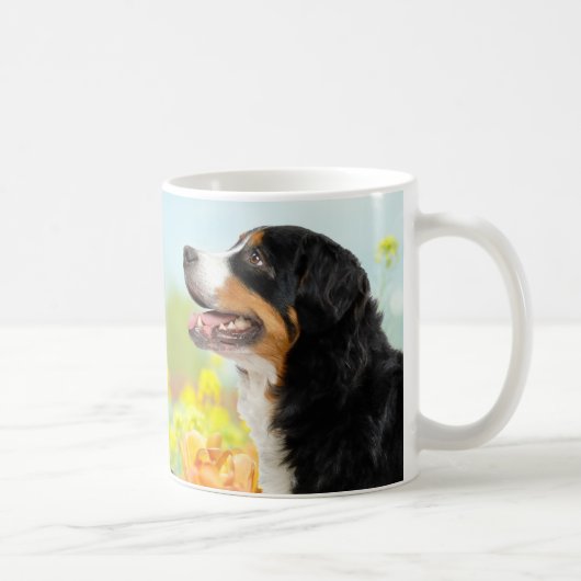 Bernese Mountain dog in the flower garden Kaffeetasse (Rechts)