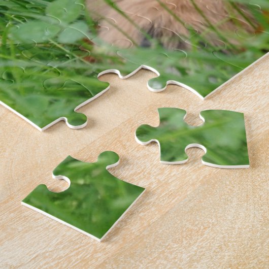 Bernese Mountain Dog Jigsaw Puzzle (Seite)