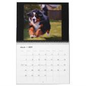 Bernese Mountain Dog Kalender (Mär 2027)