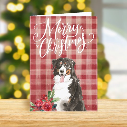 Bernese Mountain Dog Karierte Weihnachten
