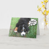 Bernese Mountain Dog Karte (Gelbe Blume)