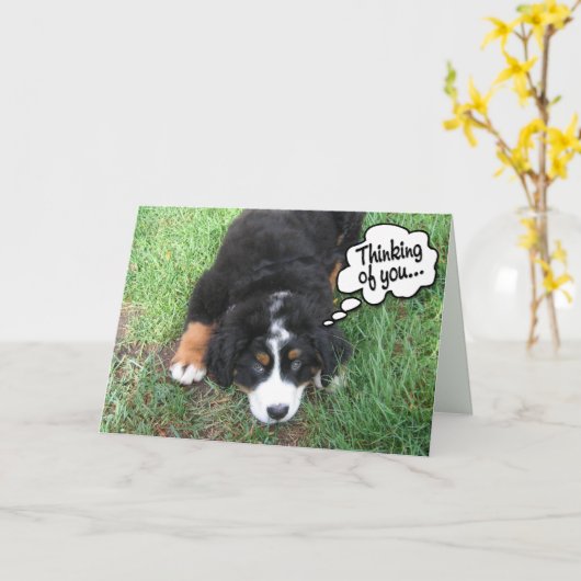 Bernese Mountain Dog Karte (Gelbe Blume)