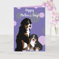 Bernese Mountain Dog