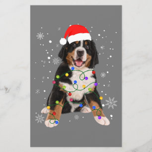 Bernese Mountain Dog Lights Weihnachtsmatte