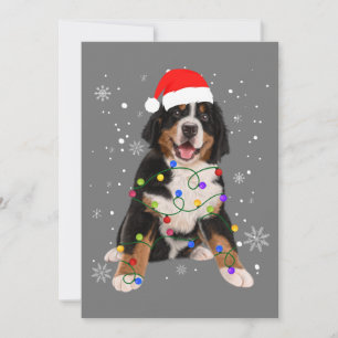 Bernese Mountain Dog Lights Weihnachtsmatte Einladung