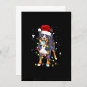 Bernese Mountain Dog Lights Weihnachtsmatte Einladung (Vorne/Hinten)
