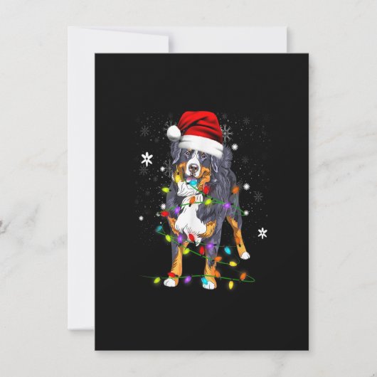 Bernese Mountain Dog Lights Weihnachtsmatte Einladung (Vorderseite)
