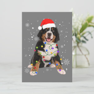 Bernese Mountain Dog Lights Weihnachtsmatte Feiertagskarte