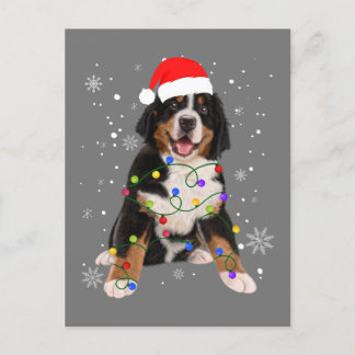 Bernese Mountain Dog Lights Weihnachtsmatte Postkarte