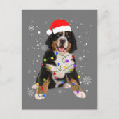 Bernese Mountain Dog Lights Weihnachtsmatte Postkarte (Vorderseite)