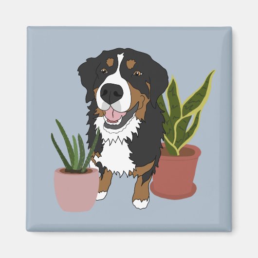 Bernese Mountain Dog Magnet (Vorne)