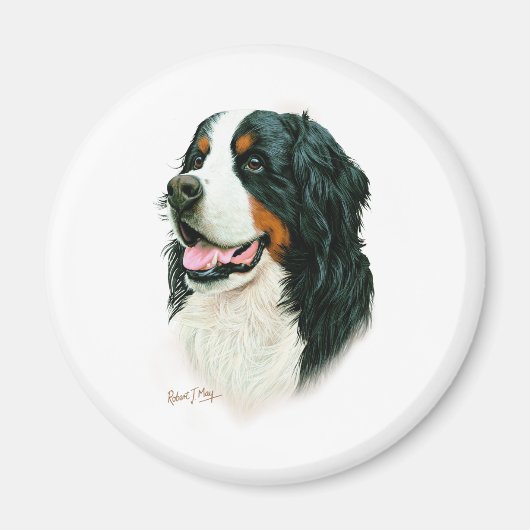 Bernese Mountain Dog Magnet (Vorne)