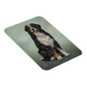 Bernese Mountain Dog Magnet (Rechte Seite)