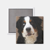 Bernese Mountain Dog Magnet 2 - "Lucy" (Vorderseite/Rückseite)