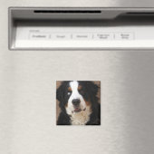 Bernese Mountain Dog Magnet 2 - "Lucy" (In Situ (Geschirrspüler))