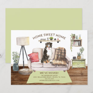 Bernese Mountain Dog Moving Ankündigung