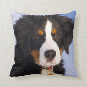 Bernese Mountain Dog - Niedliches Welpe-Foto Kissen