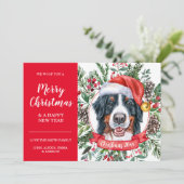 Bernese Mountain Dog Niedrig Weihnachtskarte Karte (Stehend Vorderseite)