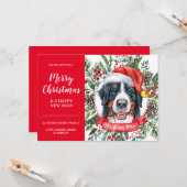 Bernese Mountain Dog Niedrig Weihnachtskarte Karte (Vorderseite/Rückseite Beispiel)