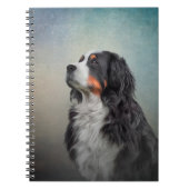 Bernese Mountain Dog Notizblock (Vorderseite)