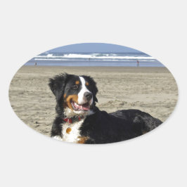 Bernese Mountain Dog Ovaler Aufkleber