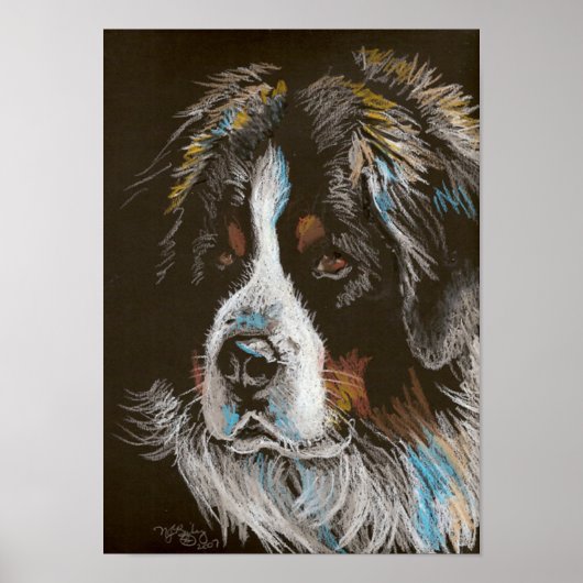 Bernese Mountain Dog Pastel Portrait Poster (Vorne)