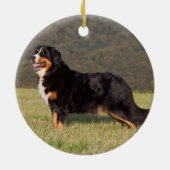 Bernese Mountain Dog Pet Memorial Keramik Ornament (Hinten)