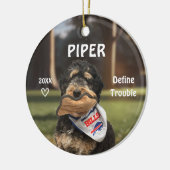 Bernese Mountain Dog Photo Ornament (Links)