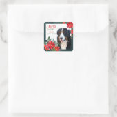 Bernese Mountain Dog Poinsettia Bouquet Weihnachte Quadratischer Aufkleber (Tasche)