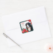 Bernese Mountain Dog Poinsettia Bouquet Weihnachte Quadratischer Aufkleber (Umschlag)