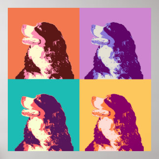 Bernese Mountain Dog Pop Poster