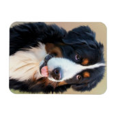 Bernese Mountain Dog Portrait Magnet (Horizontal)