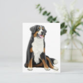 Bernese Mountain Dog Postcard Postkarte (Stehend Vorderseite)