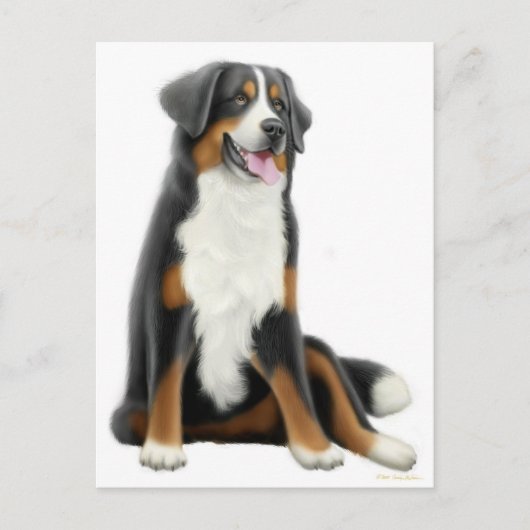Bernese Mountain Dog Postcard Postkarte (Vorderseite)