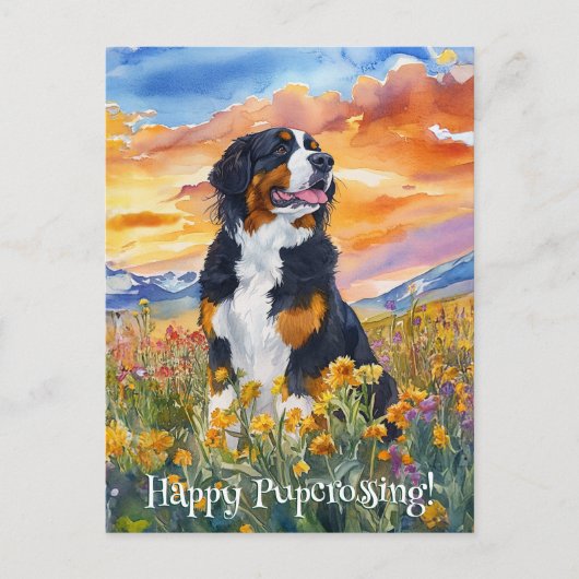 Bernese Mountain Dog Postcross - Postcard Postkarte (Vorderseite)