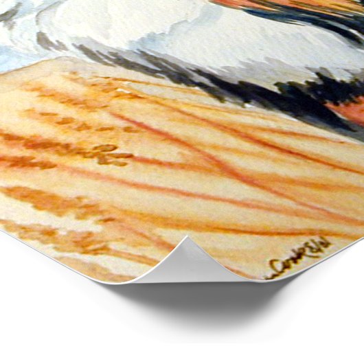 Bernese Mountain Dog Poster Print (Ecke)