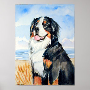 Bernese Mountain Dog Poster Print