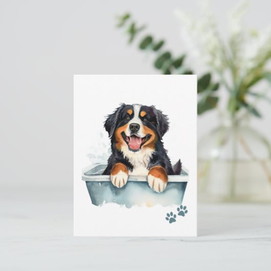Bernese Mountain Dog Postkarte (Stehend Vorderseite)
