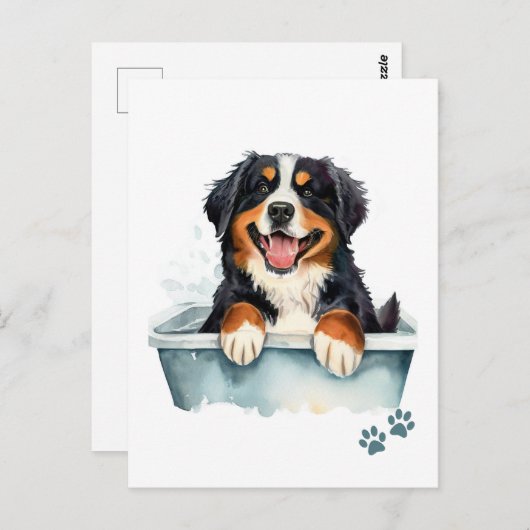 Bernese Mountain Dog Postkarte (Vorne/Hinten)