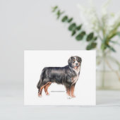 Bernese Mountain Dog Postkarte (Stehend Vorderseite)