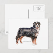 Bernese Mountain Dog Postkarte (Vorne/Hinten)