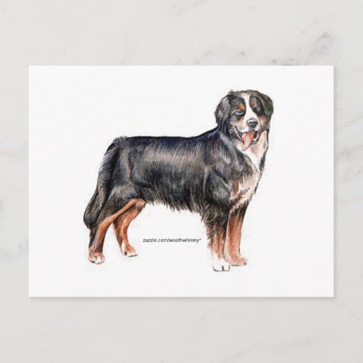 Bernese Mountain Dog Postkarte (Vorderseite)