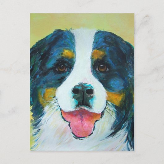 Bernese Mountain Dog Postkarte (Vorderseite)